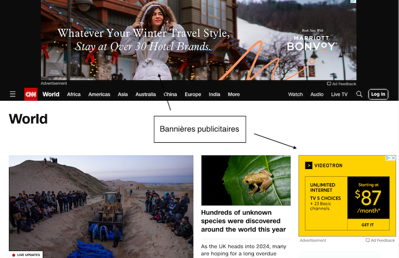 Exemples de publicités digitales de bannières sur des sites web
